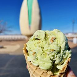 McGinn’s Pistachio Tree Ranch Country Store - Ice cream
