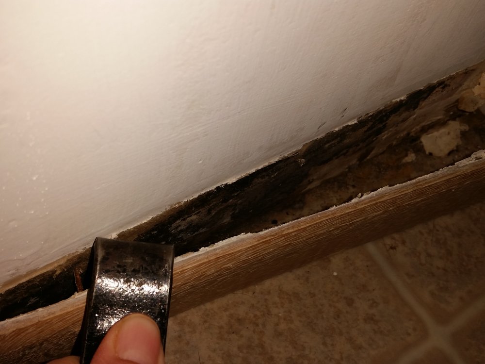 Minnesota Mold Inspection - mold inspector in Maple Plain, MN