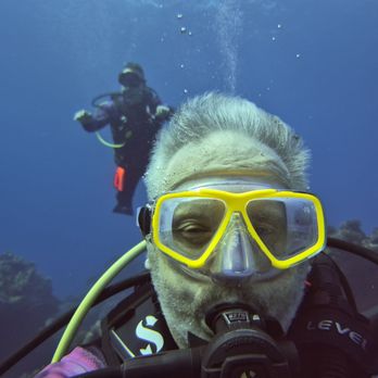 Island Divers - Enjoying Skimmins Reef - Scuba Diving Near Me - Honolulu, Hawaii Island Divers - Enjoying Skimmins Reef - Scuba Diving Near Me - Honolulu, Hawaii
