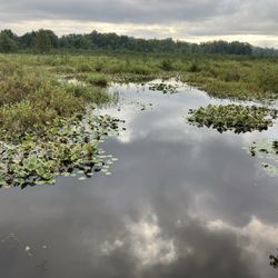 Erie National Wildlife Refuge