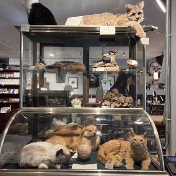 Paxton Gate - Jewelry Near Me - Portland, Oregon