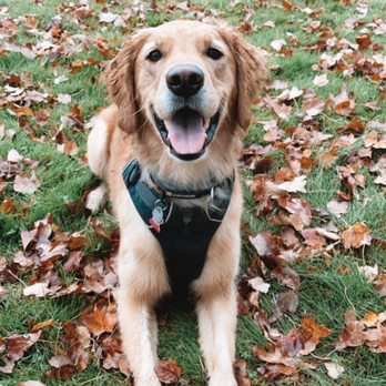 Tanasbourne Veterinary Emergency - Veterinarians Near Me - Beaverton, Oregon Tanasbourne Veterinary Emergency - Veterinarians Near Me - Beaverton, Oregon