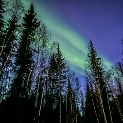 Moose Cab & Tours - #auroraviewing