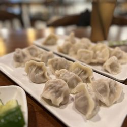 Dumpling Master - Beef and Onion Dumplings / Shrimp and Pork Dumplings