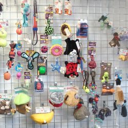 Golly Gear - Toys!