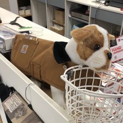 Hyman's-Pennyworth's - Puppy gear