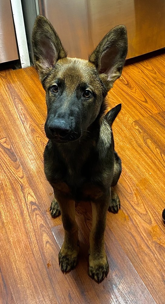 WITMERTYSON IMPORTS Updated October 2024 18 Photos 3757 Haven