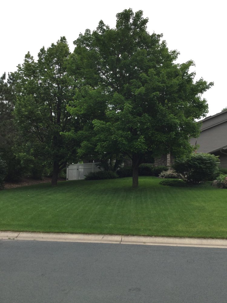 Twin Cities Mowing - veterans service organization in Richfield, MN