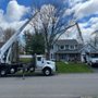 Photo of A&J Tree Service