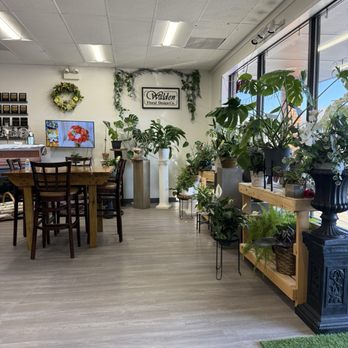 Walden Floral Design - Florists Near Me - Downers Grove, Illinois Walden Floral Design - Florists Near Me - Downers Grove, Illinois