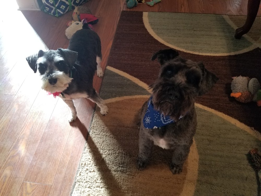 HAPPY JOS BOWS in Hot Springs, South Dakota Updated October 2024