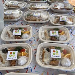 Kids bento (front), adult bentos (back)