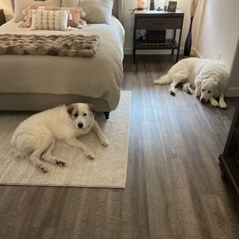 Iconic Floors & More - Flooring Near Me - Hemet, California Iconic Floors & More - Flooring Near Me - Hemet, California