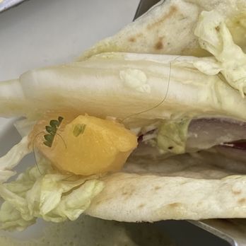 The Hawke - Hair in shrimp taco special - Steakhouses Near Me - Lambertville, New Jersey The Hawke - Hair in shrimp taco special - Steakhouses Near Me - Lambertville, New Jersey