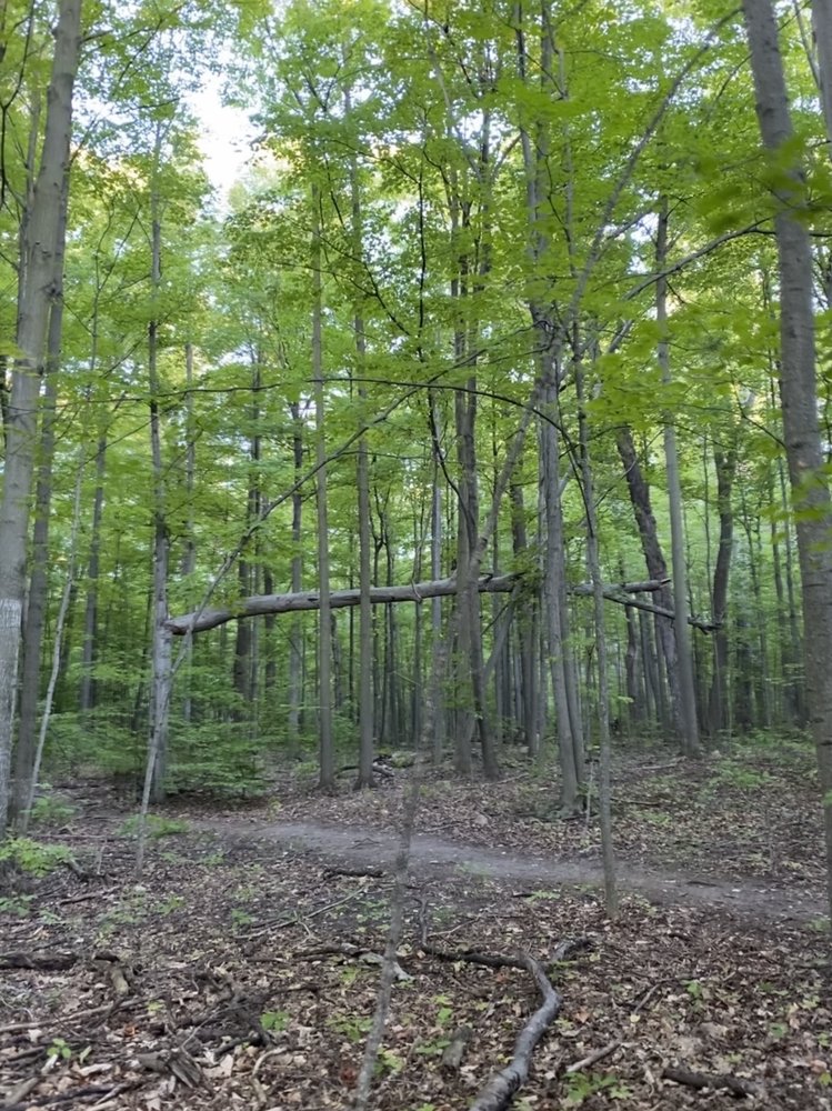 SUGARBUSH HERITAGE PARK Updated August 2024 91 Thornhill Woods