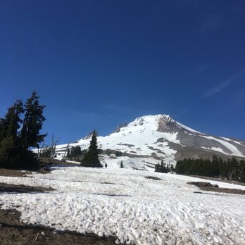 Intuitive Advisor - Mt Hood-let it's energy ground and uplift you! - Life Coach Near Me - Portland, Oregon