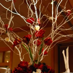 Allison Brooke Design