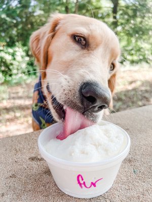 Retro Sno Shaved Ice & More by null