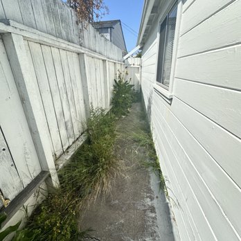 Smartway Landscape - Before of our walkway overgrown with weeds with cracked concrete - Masonry/Concrete Near Me Smartway Landscape - Before of our walkway overgrown with weeds with cracked concrete - Masonry/Concrete Near Me
