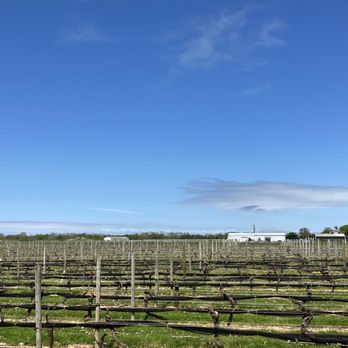 Pindar Vineyards - Wineries Near Me - Peconic, New York Pindar Vineyards - Wineries Near Me - Peconic, New York