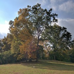 Scalzi Park