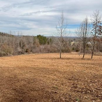 Mad dog land clearing - Tree Services Near Me Mad dog land clearing - Tree Services Near Me
