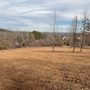 Photo of Mad dog land clearing