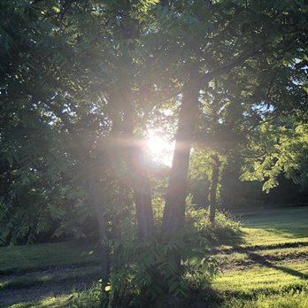 Cowpatty RV Park & Campground - RV Parks Near Me - West Fork, Arkansas