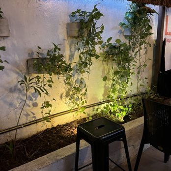 La Vagabunda - Mexican Near Me - Playa del Carmen, ROO