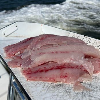 Last Hurrah Charter Fishing - Rockfish Filleted - Fishing Near Me - Pasadena, Maryland