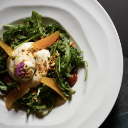 Burrata salad. Burrata, pistachio, orange fillet