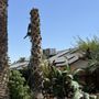 Photo of Raymundo’s Gardening Services