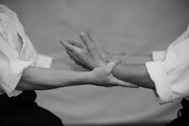 Steiner Ranch Aikido Logo