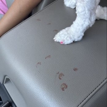 TAMI&rsquo;S TENDER TOUCH - Updated January 2025 - 62 Photos &amp; 94 