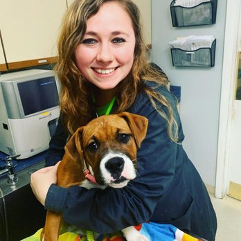 Strawbridge Animal Care - Veterinarians Near Me - Virginia Beach, Virginia Strawbridge Animal Care - Veterinarians Near Me - Virginia Beach, Virginia