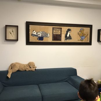 James K Ikehara - DDS - June 26, 2017 inside waiting room - Pediatric Dentists Near Me - San Jose, California James K Ikehara - DDS - June 26, 2017 inside waiting room - Pediatric Dentists Near Me - San Jose, California