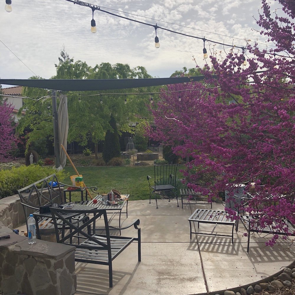 Natalia Bluck Landscape Consulting - a patio with tables and chairs - Landscaping Near Me - Folsom, California Natalia Bluck Landscape Consulting - a patio with tables and chairs - Landscaping Near Me - Folsom, California