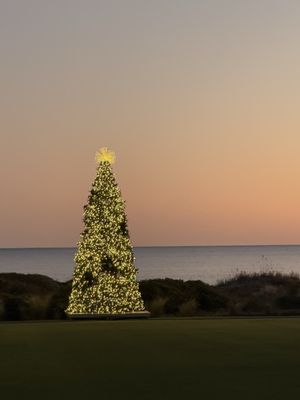 The Sanctuary at Kiawah Island Golf Resort by null