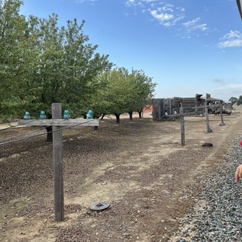 Dell'Osso Family Farm - Train ride views - Pumpkin Patches Near Me - Lathrop, California Dell'Osso Family Farm - Train ride views - Pumpkin Patches Near Me - Lathrop, California