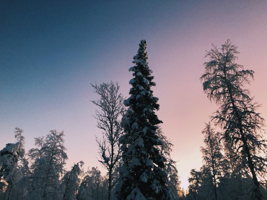 Northern Lights Ranch by null