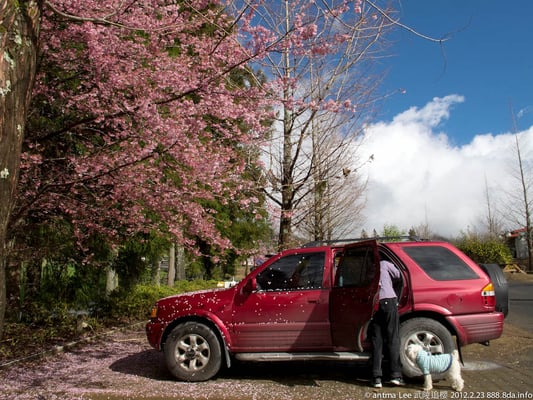 Wuling Farm by null