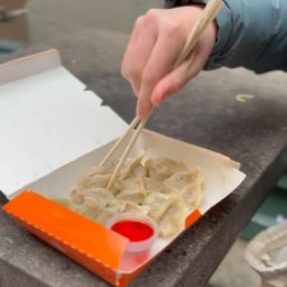10 Piece Mushroom Dumplings