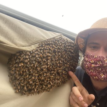 Bee Friendly Honey Bee Management Solutions - Up close and personal with the bees. - Pest Control Near Me - Morgan Hill, California Bee Friendly Honey Bee Management Solutions - Up close and personal with the bees. - Pest Control Near Me - Morgan Hill, California