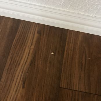 Highland Park Housekeeping - Didn't mop, stuff still all over floors - Home Cleaning Near Me - Dallas, Texas Highland Park Housekeeping - Didn't mop, stuff still all over floors - Home Cleaning Near Me - Dallas, Texas