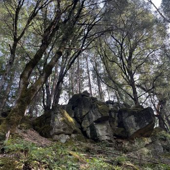 Hedge Creek Falls - The trail - Hiking Near Me - Dunsmuir, California Hedge Creek Falls - The trail - Hiking Near Me - Dunsmuir, California