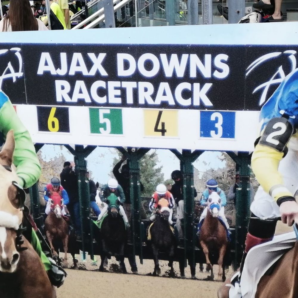 Ajax Downs Racetrack - Race Tracks Near Me - Ajax, Ontario Ajax Downs Racetrack - Race Tracks Near Me - Ajax, Ontario
