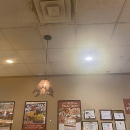 I took pictures of the ceiling and this is what I saw. Mold I took pictures of the ceiling and this is what I saw. Mold
