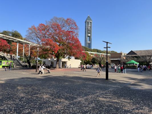 Higashiyama Zoo and Botanical Gardens by null