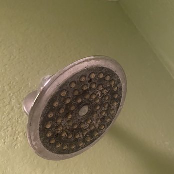 OYO Hotel Yoakum West - Dirty shower head - Hotels Near Me - Yoakum, Texas OYO Hotel Yoakum West - Dirty shower head - Hotels Near Me - Yoakum, Texas
