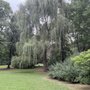 Griggs Park